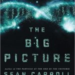 Book cover of 'The big picture' by Sean Carrol